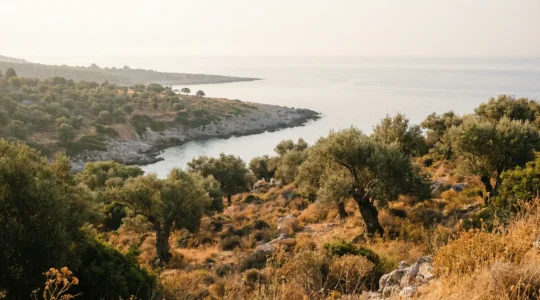 Paysage côtier méditerranéen évoquant l'Algérie natale d'Albert Camus